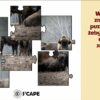 Escape Room Geografia – Tajemnica Czterech Żywiołów (klasa 7)