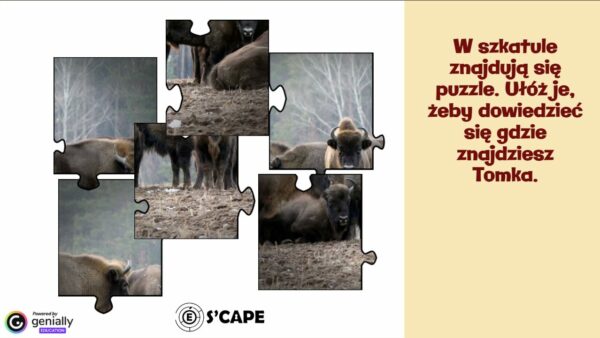 Escape Room Geografia – Tajemnica Czterech Żywiołów (klasa 7)
