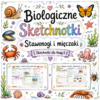 1 Sketchnotki Biologia klasa 6 – Stawonogi i mięczaki