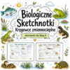 Sketchnotki Biologia klasa 6 – Kręgowce zmiennocieplne