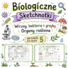 Sketchnotki Biologia klasa 5 – Wirusy, bakterie i grzyby. Organy roślinne