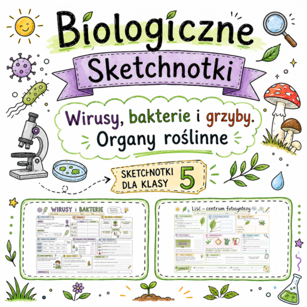 Sketchnotki Biologia klasa 5 – Wirusy, bakterie i grzyby. Organy roślinne