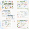 Sketchnotki Biologia klasa 5 – Budowa i czynności życiowe organizmów