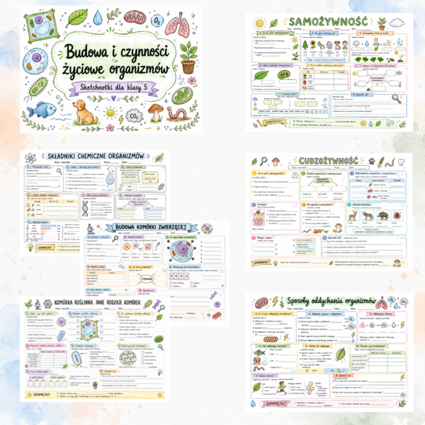Sketchnotki Biologia klasa 5 – Budowa i czynności życiowe organizmów
