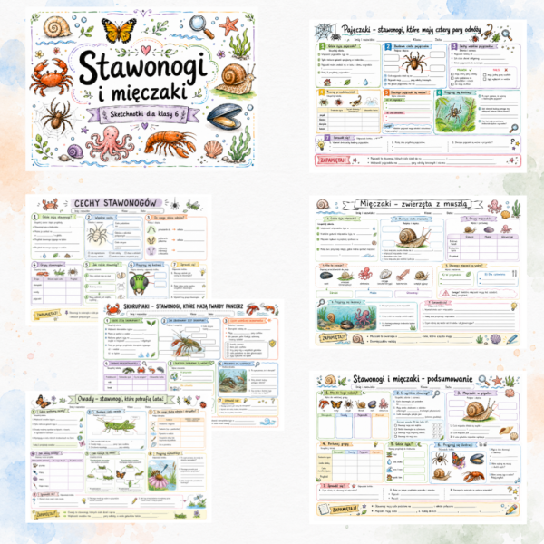 2 Sketchnotki Biologia klasa 6 – Stawonogi i mięczaki