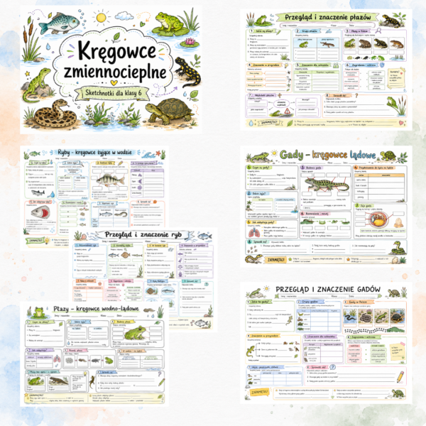 Sketchnotki Biologia klasa 6 – Kręgowce zmiennocieplne