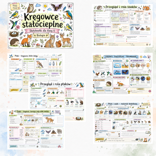 Sketchnotki Biologia klasa 6 – Kręgowce stałocieplne