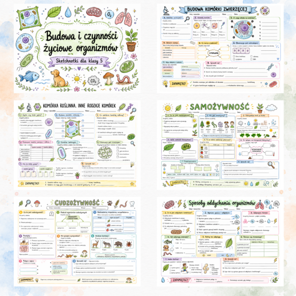 Sketchnotki Biologia klasa 5 – Budowa i czynności życiowe organizmów