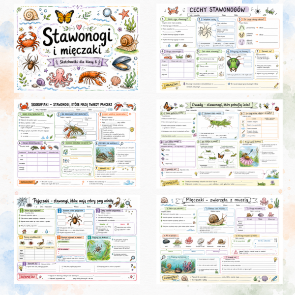3 Sketchnotki Biologia klasa 6 – Stawonogi i mięczaki