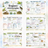 Sketchnotki Biologia klasa 6 – Kręgowce zmiennocieplne