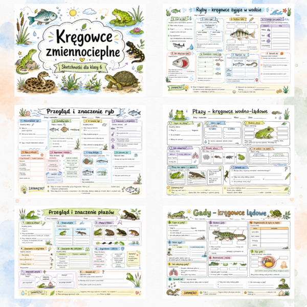 Sketchnotki Biologia klasa 6 – Kręgowce zmiennocieplne