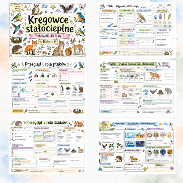 Sketchnotki Biologia klasa 6 – Kręgowce stałocieplne