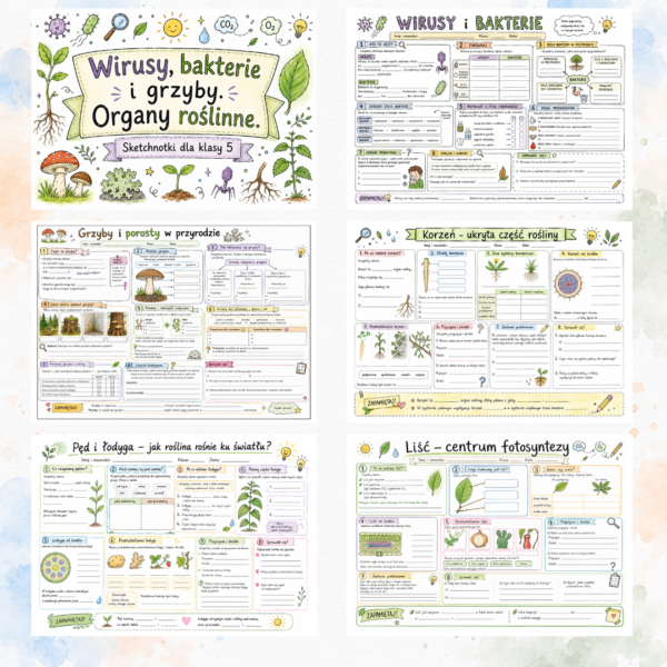 Sketchnotki Biologia klasa 5 – Wirusy, bakterie i grzyby. Organy roślinne