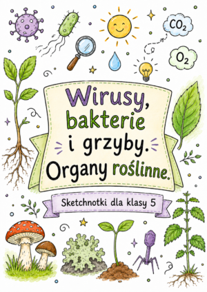 Sketchnotki Biologia klasa 5 – Wirusy, bakterie i grzyby. Organy roślinne