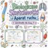 Sketchnotki Biologia klasa 7 – Aparat ruchu