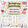 Sketchnotki Biologia klasa 7 – Układ pokarmowy + układ wydalniczy