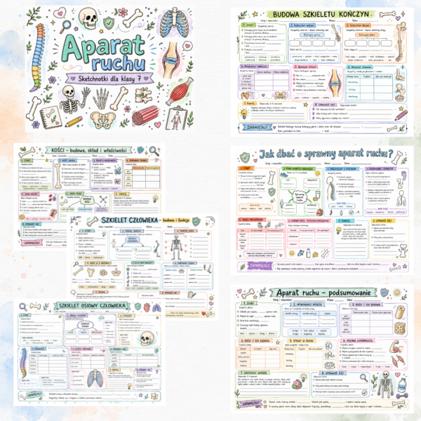 Sketchnotki Biologia klasa 7 – Aparat ruchu