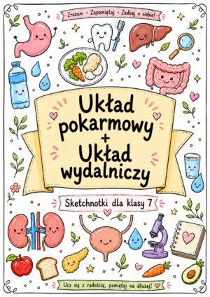 Sketchnotki Biologia klasa 7 – Układ pokarmowy + układ wydalniczy