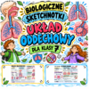 Sketchnotki Biologia klasa 7 – Układ oddechowy